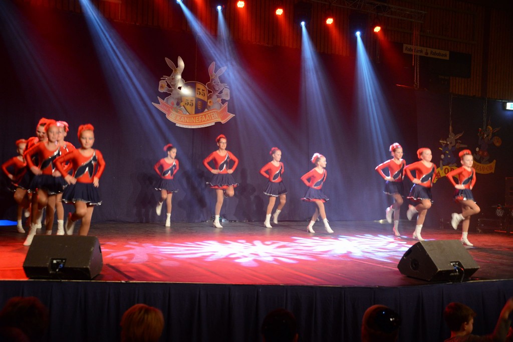 ../Images/Dansmarieke festival 2015 140.jpg